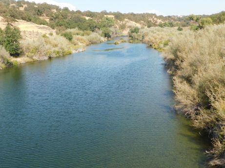[Picture of Tuolumne River upstream from bridge]